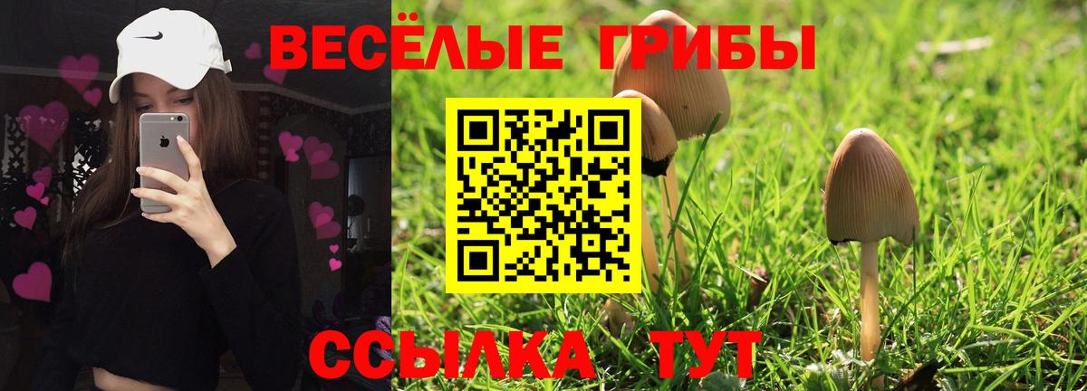 Псилоцибиновые грибы MAGIC MUSHROOMS  Вход с VPN  где продают   Саяногорск 